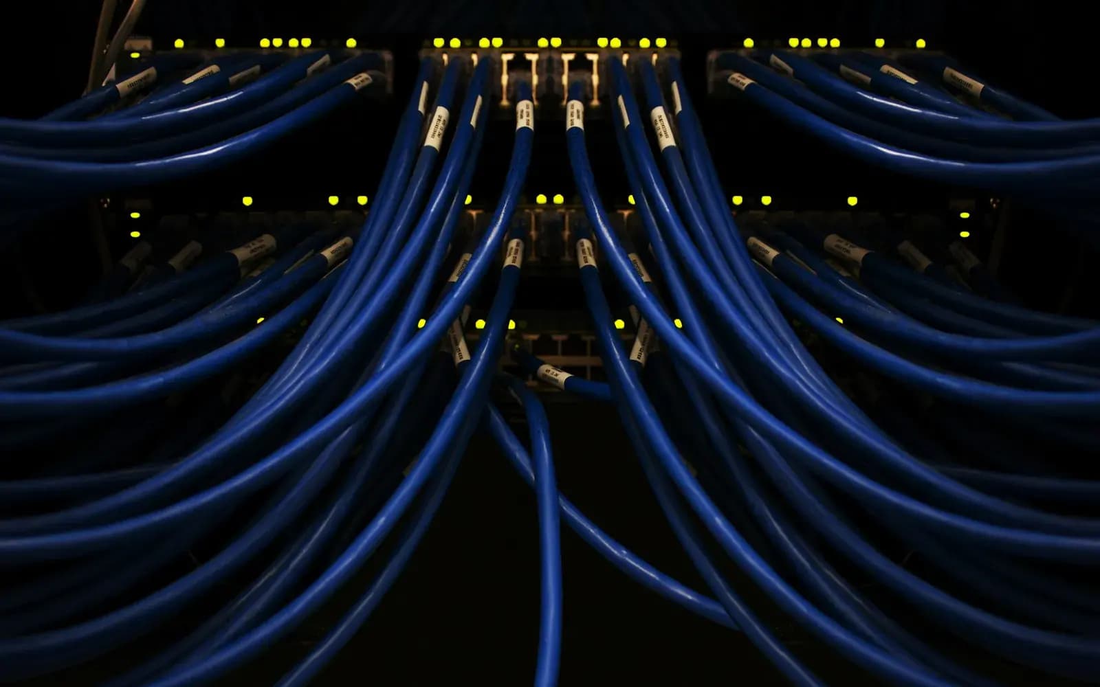 Blaue Netzwerkkabel, die in zwei Reihen von Switch-Ports zusammenlaufen